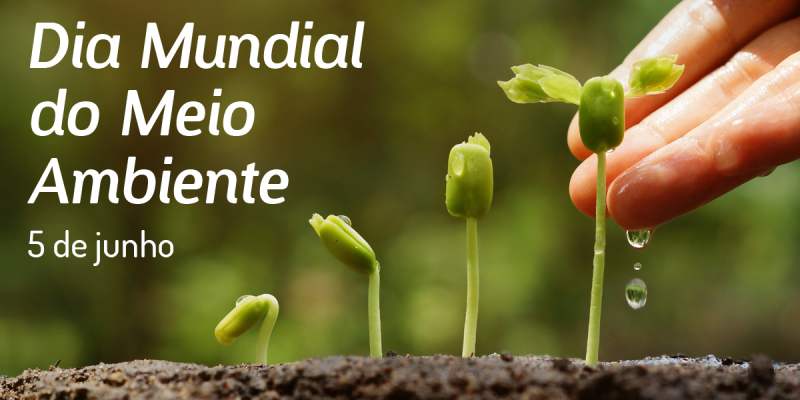 Dia Mundial Do Meio Ambiente 